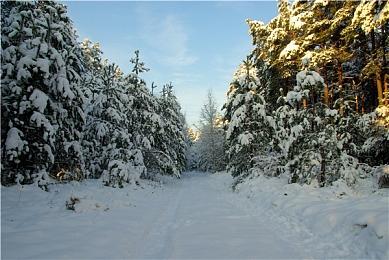 开发两款3A仍有余力 育碧Massive为新项目招募动画师